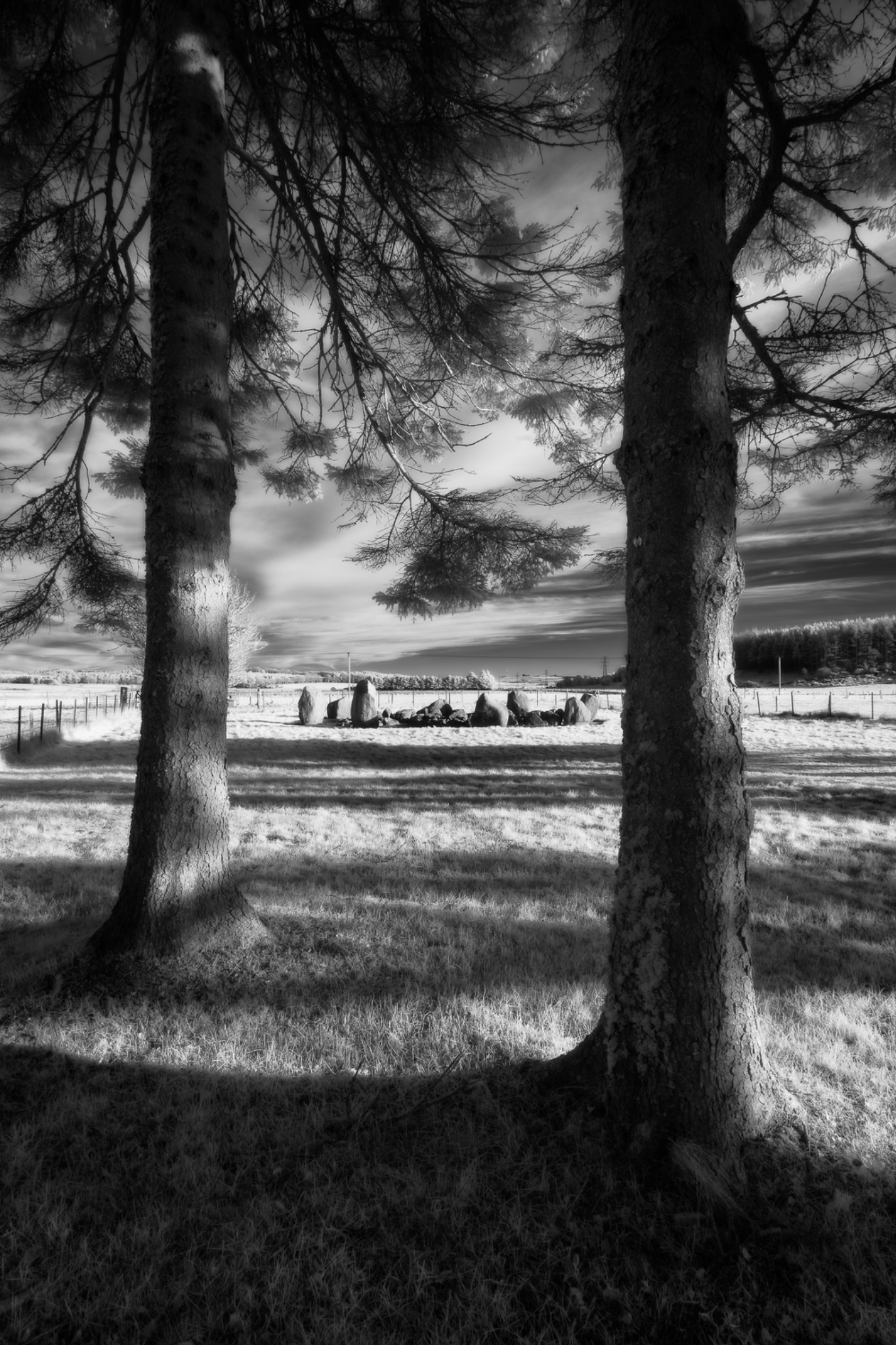 Cullerie Stone Circle, Aberdeenshire, Scotland.